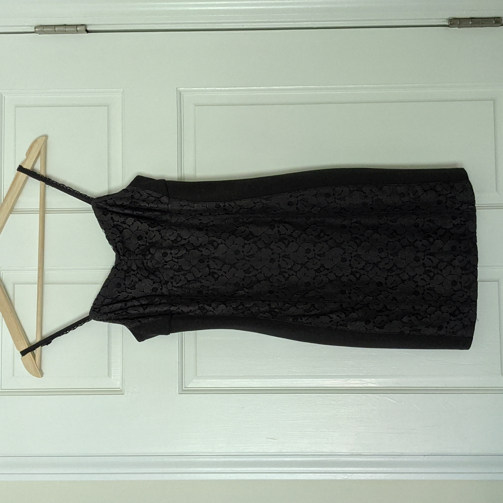 Fitted lace Dress
